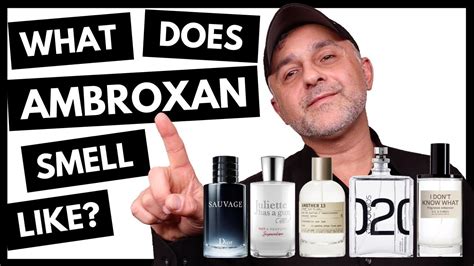 what is ambroxan in perfume.